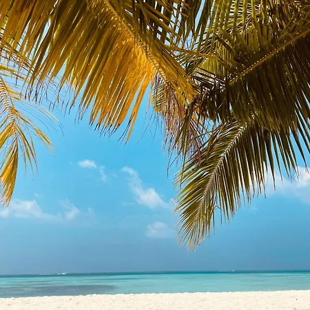 Affittacamere Bartolini *