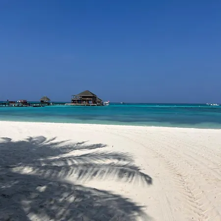 Bartolini Affittacamere Bruges