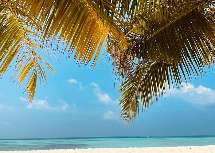 Affittacamere Bartolini *