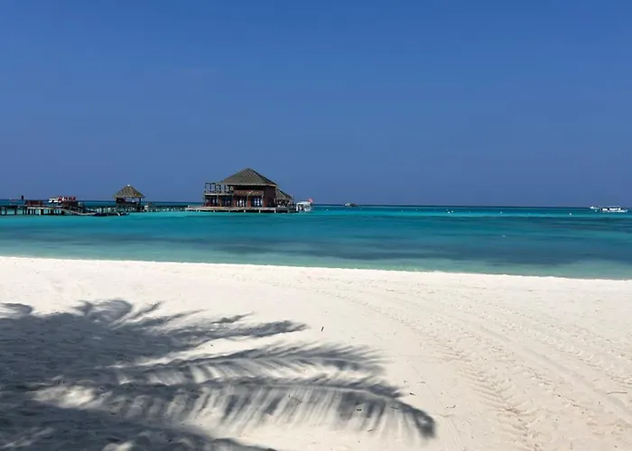 Bartolini Vendégház Bruges